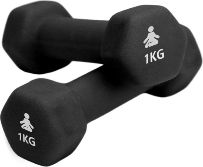 Bilde av Premium Dumbbells 2 x 1 kg