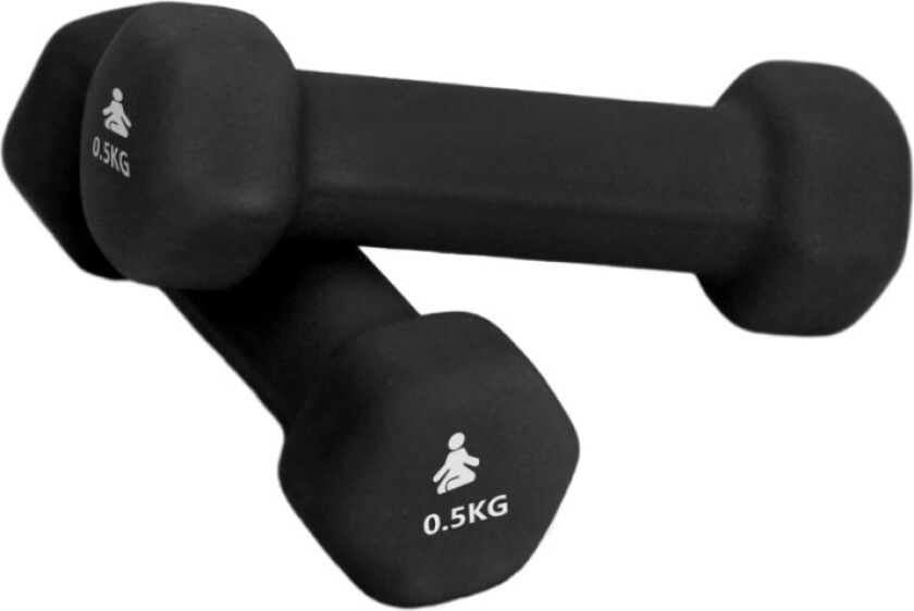 Bilde av Premium Dumbbells 2 x 0.5 kg