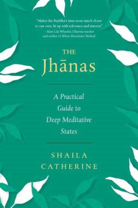 The Jhanas A Practical Guide to Deep Meditative States