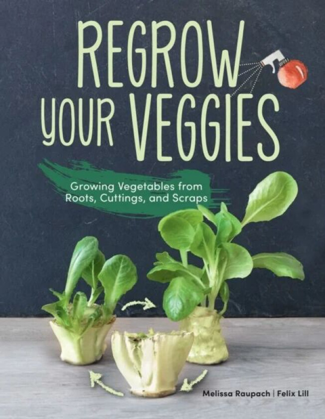 Regrow Your Veggies av Melissa Raupach, Felix Lill