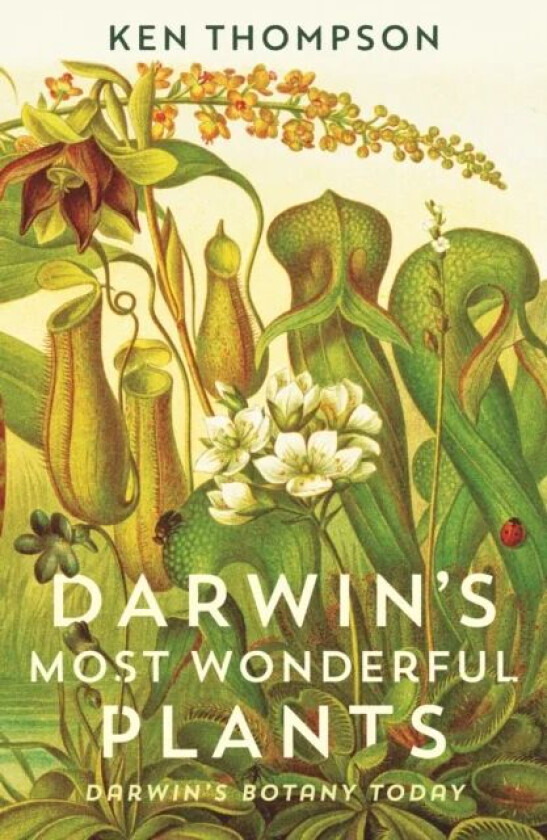 Darwin's Most Wonderful Plants av Ken Thompson