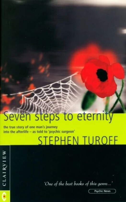 Seven Steps to Eternity av Stephen Turoff
