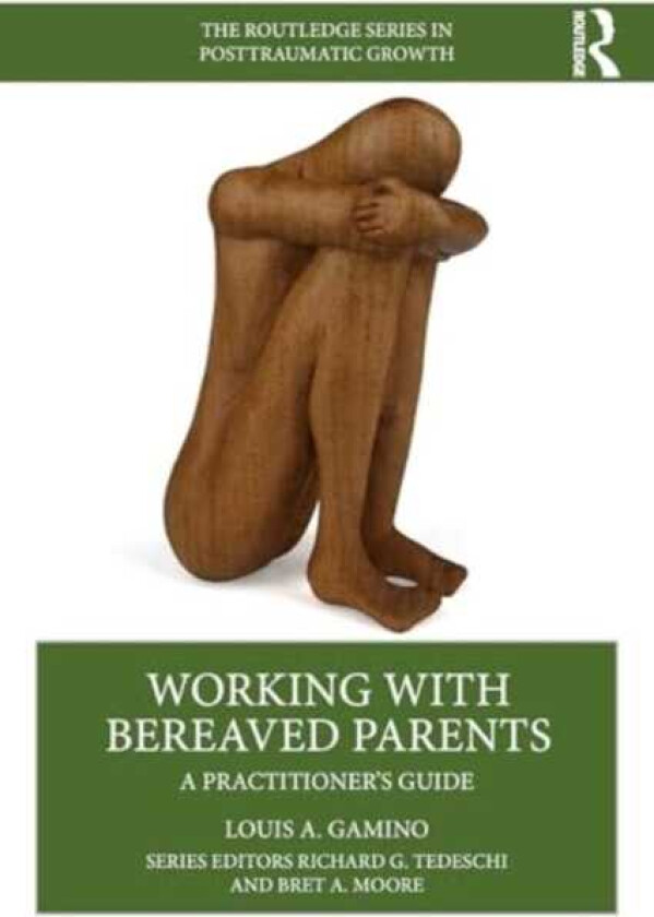 Working with Bereaved Parents A Practitioner's Guide