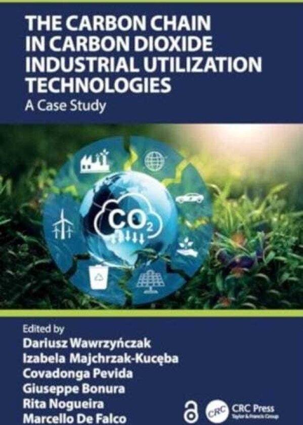 The Carbon Chain in Carbon Dioxide Industrial Utilization Technologies A Case Study