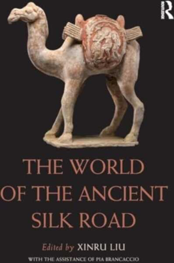 The World of the Ancient Silk Road