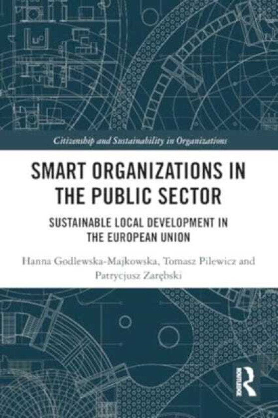 Smart Organizations in the Public Sector  Sustainable Local Development in the European Union