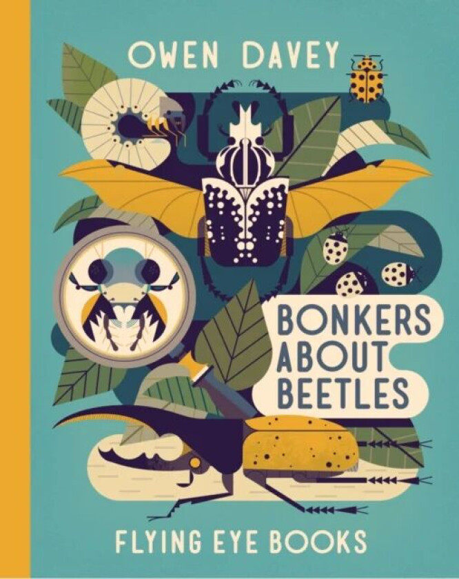 Bonkers About Beetles av Owen Davey