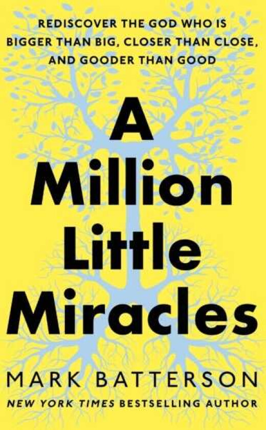 A Million Little Miracles Rediscover the God Who Is Bigger Than Big, Closer Than Close, and Gooder Than Good