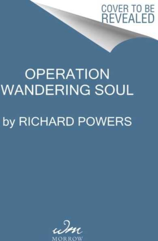 Operation Wandering Soul A Novel