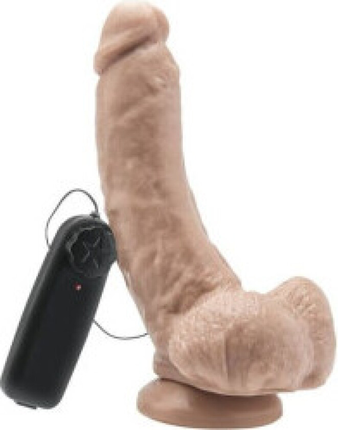 - Dildo 20,5 Cm With Balls Vibrator Skin