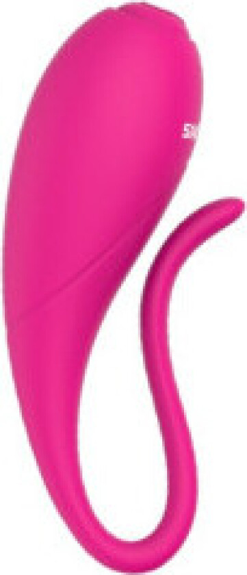 - Coco Vibrator Clamps