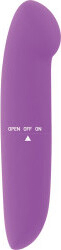 - Phil Vibrator Purple