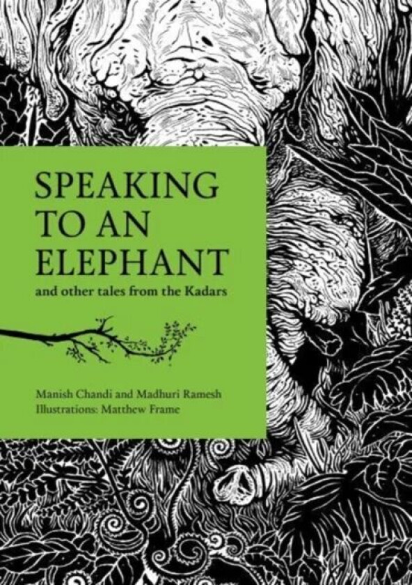 Speaking to an Elephant av Manish Chandi