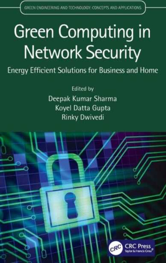 Green Computing in Network Security Energy Efficient Solutions for Business and Home