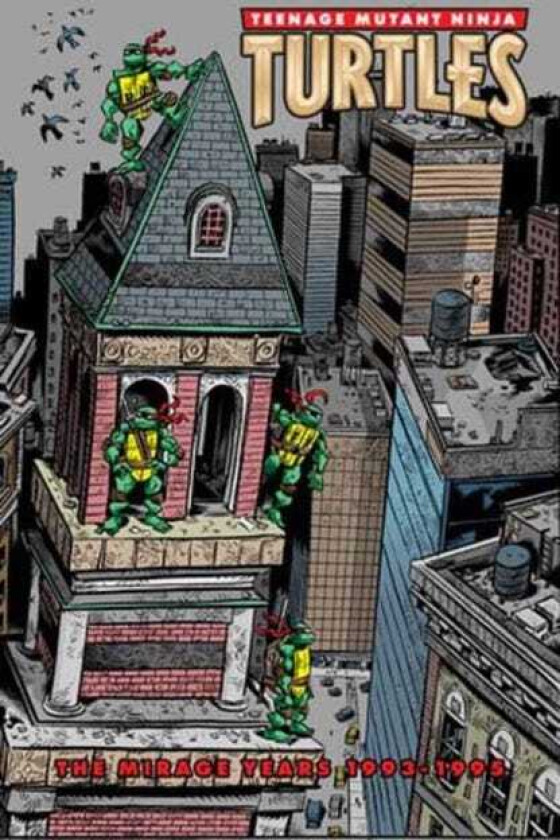 Teenage Mutant Ninja Turtles: The Mirage Years (1993–1995)