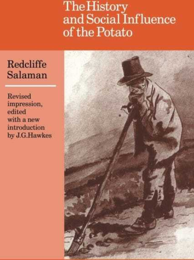 The History and Social Influence of the Potato