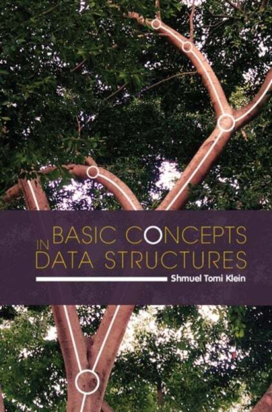 Basic Concepts in Data Structures av Shmuel Tomi (Bar-Ilan University Israel) Klein