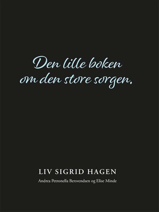 Den lille boken om den store sorgen av Liv Sigrid Hagen
