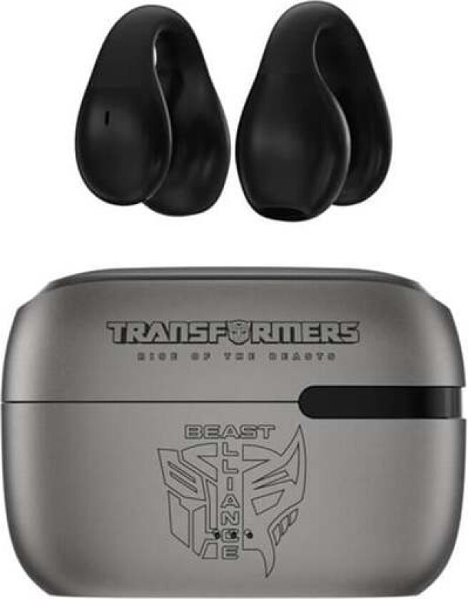 TWS TF-T05 headphones (gray)