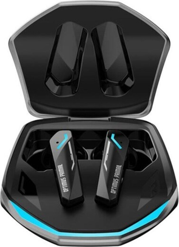 TWS TF-T10 headphones (gray)