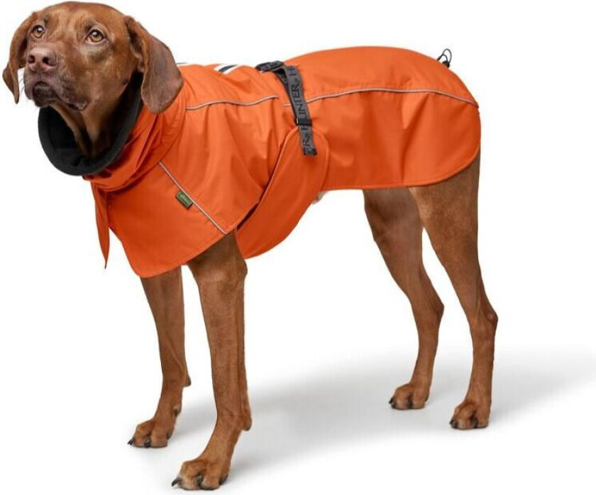 - Dogcoat Nordby 45, orange - (203425)