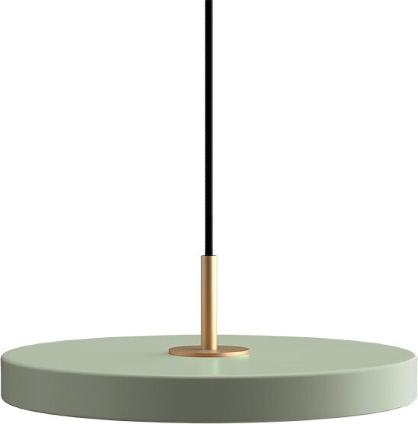 - Asteria Plus Pendel Mini Nuance Oliven/Messing