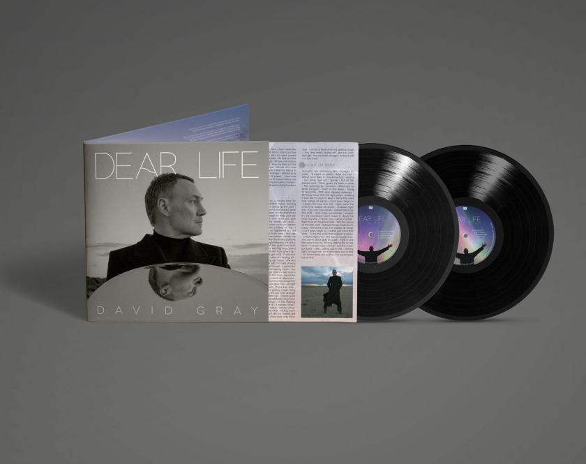 David Gray Dear Life LP/Vinyl