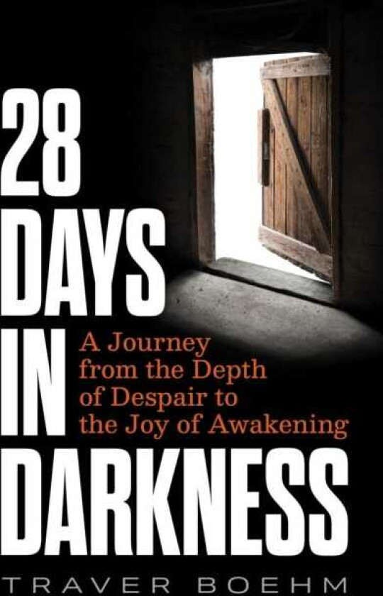 28 Days in Darkness A Journey from the Depth of Despair to the Joy of Awakening