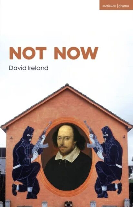 Not Now av Mr David Ireland