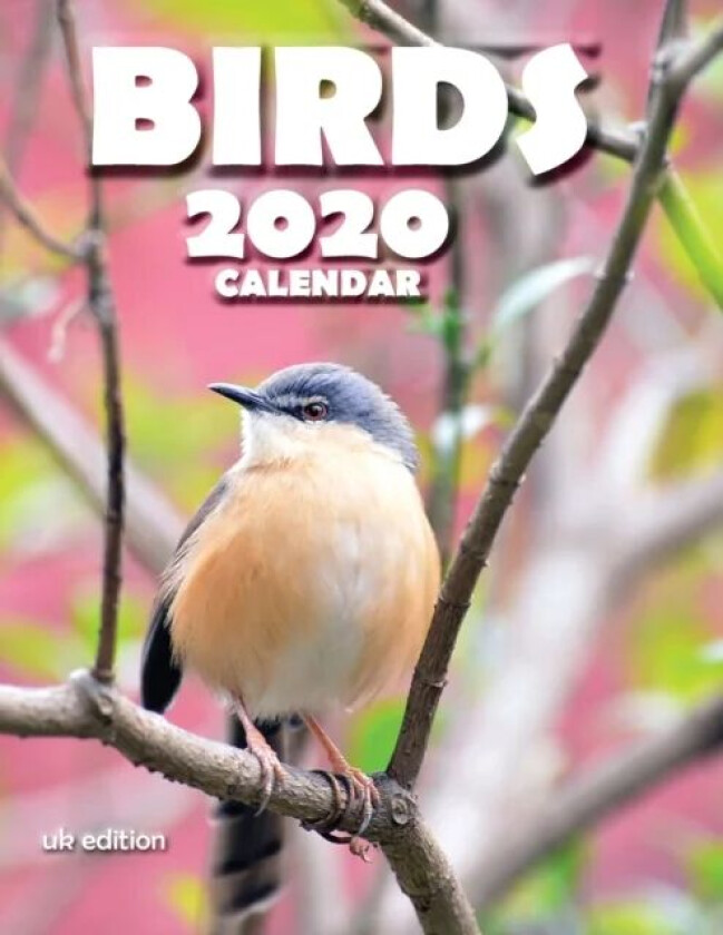 Birds 2020 Calendar (UK Edition) av Wall Publishing Uk
