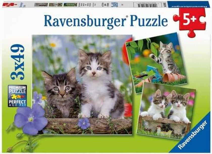 Jigsaw puzzle Young Kittens 3x49pcs. Gulv