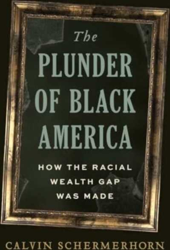 The Plunder of Black America How the Racial Wealth Gap Was Made