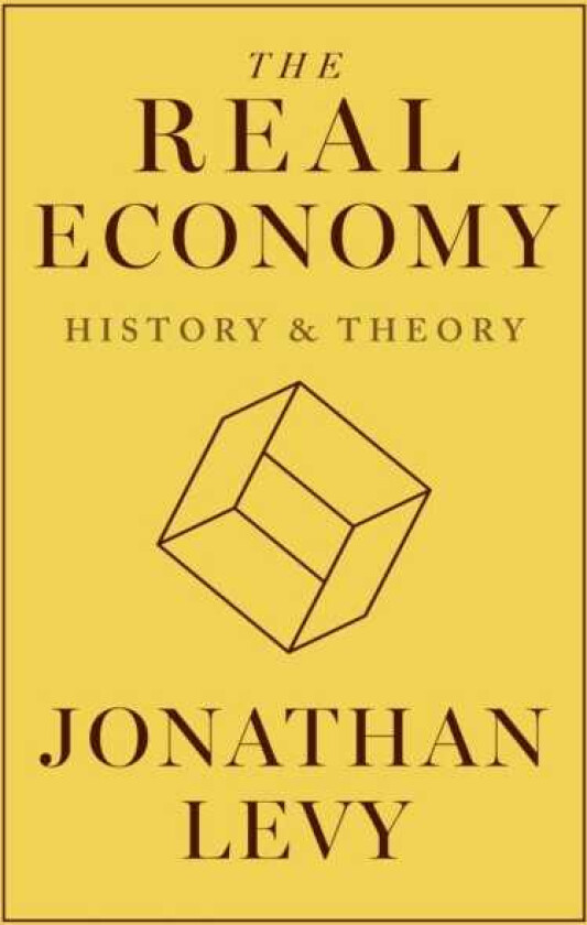 The Real Economy History and Theory