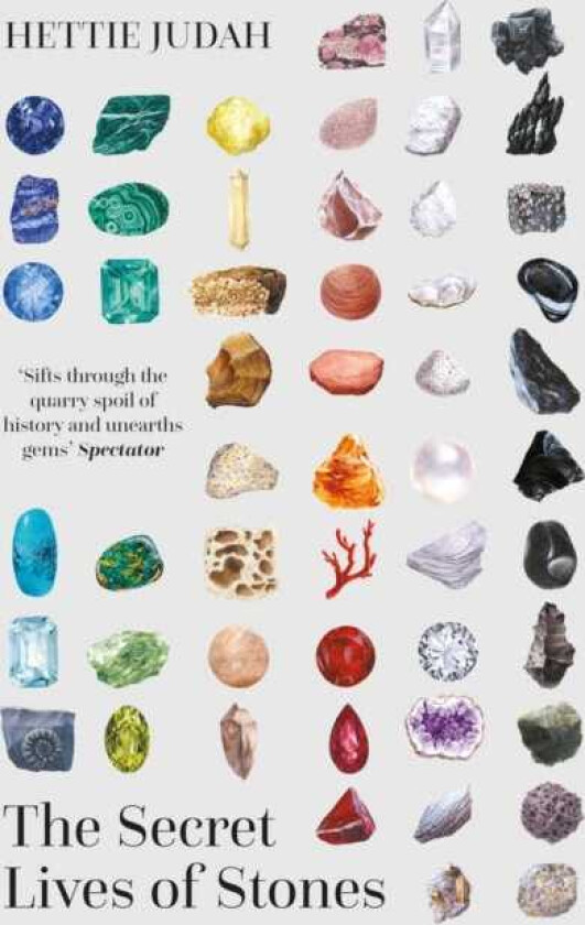 The Secret Lives of Stones 'A real cabinet of curiosities' SUNDAY TIMES