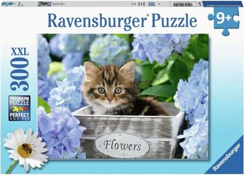 Jigsaw puzzle XXL Small Kitten 300 pcs. Gulv