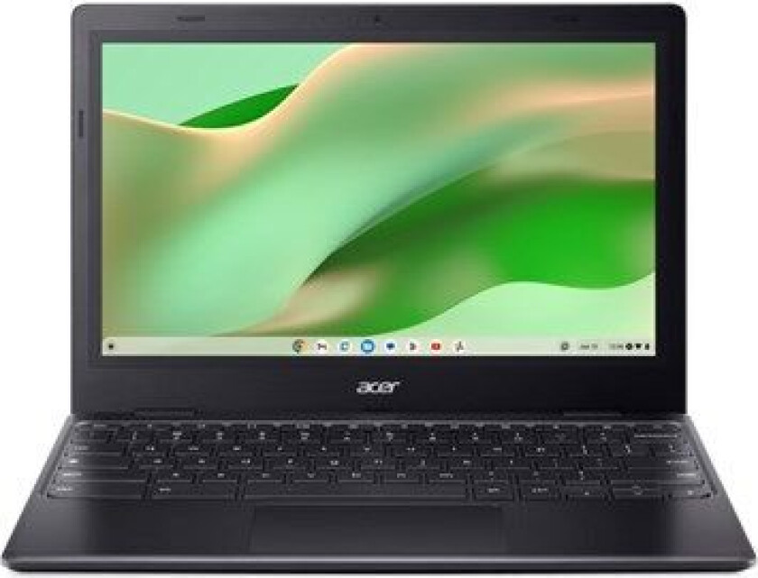 Chromebook 311 (NX.J3YED.001)