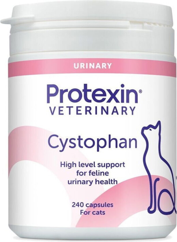 Cystophan Katt (30 tabs)