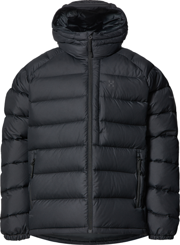Men's Rosson Down Hood True Black L