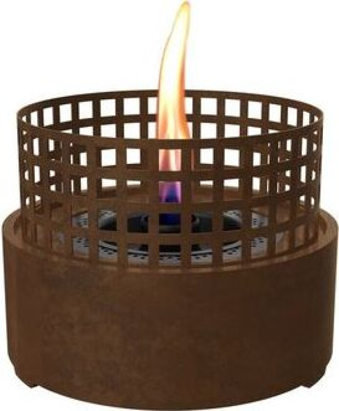 Halvor Bakke Paarl 18 Rust