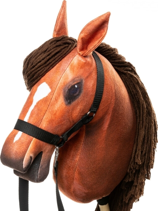 Kon Na Kiju - Hobby Horse Skippi - Bursztyn