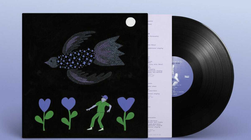 Bonnie Prince Billy The Purple Bird LP/Vinyl