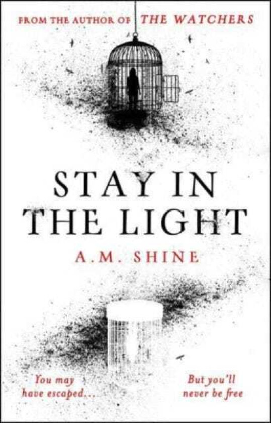 Stay in the Light  the chilling sequel to THE WATCHERS, now adapted into a major motion picture