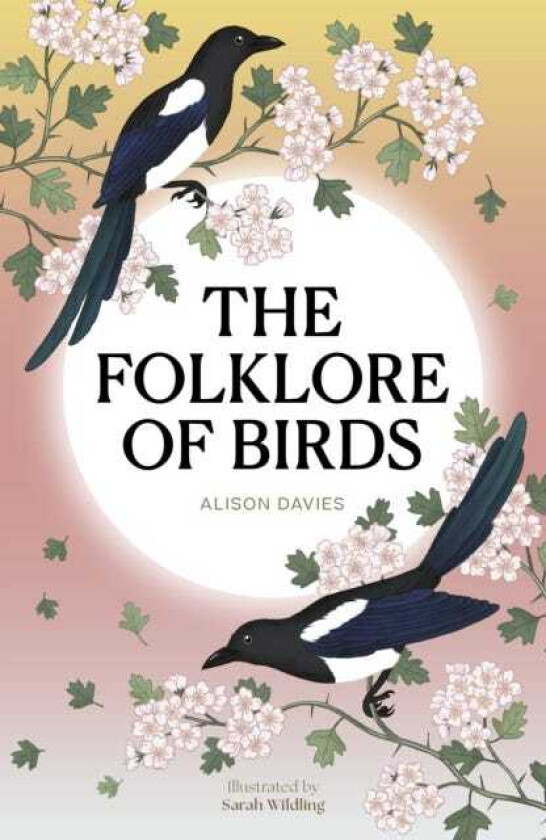 The Folklore of Birds The forgotten tales behind nature’s most enigmatic creatures