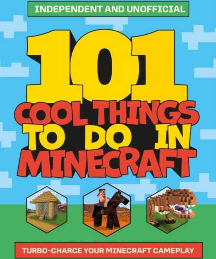 101 Cool Things to Do in Minecraft