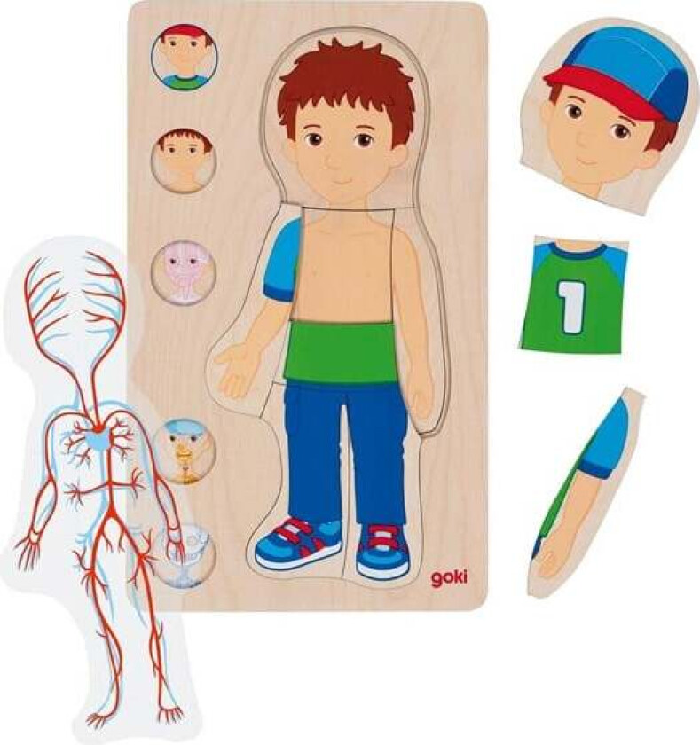 Wooden Layer Puzzle Human Body Boy 29 pcs.