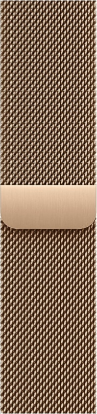 42mm Gold Milanese Loop