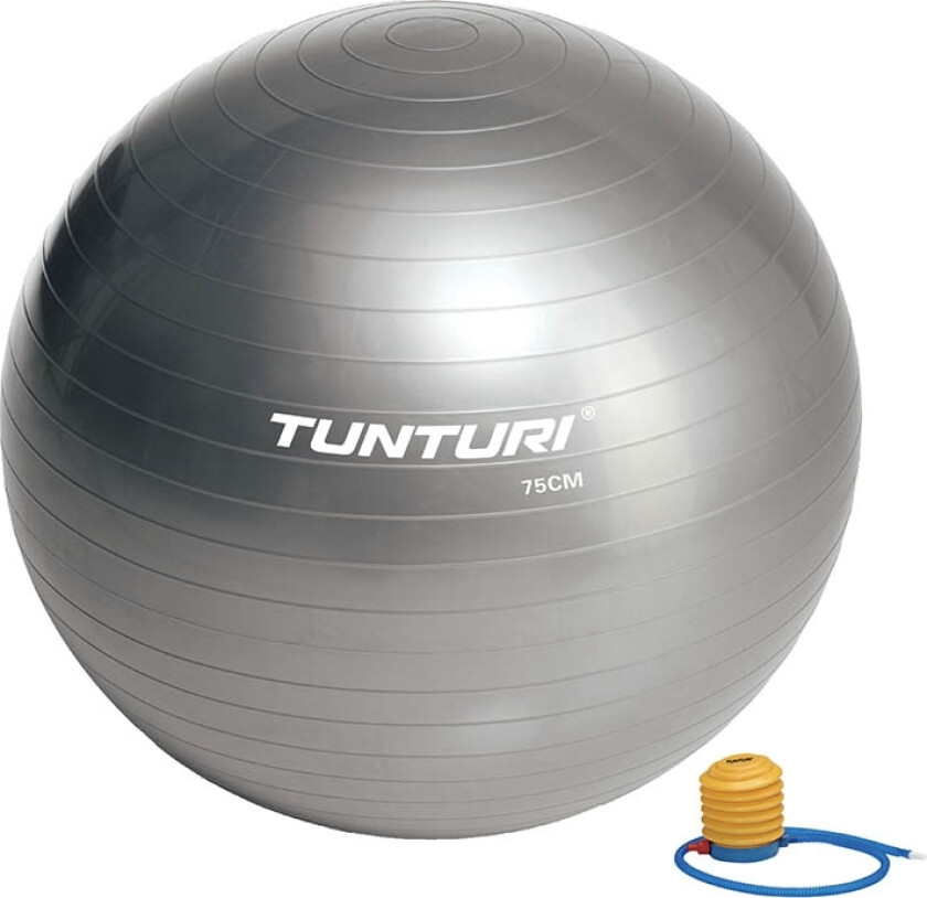 Gymball 75 cm. Grey