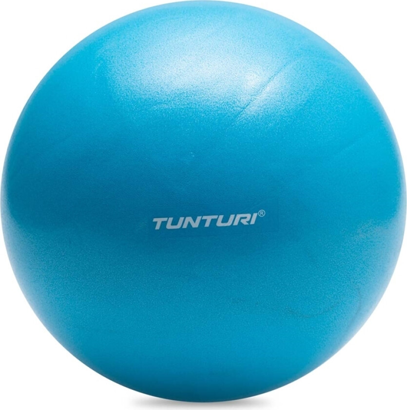 Gym Ball 25 cm.