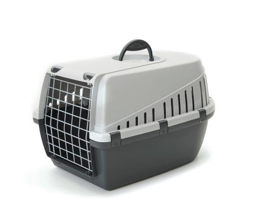 SAVIC Transportbur Trotter 1