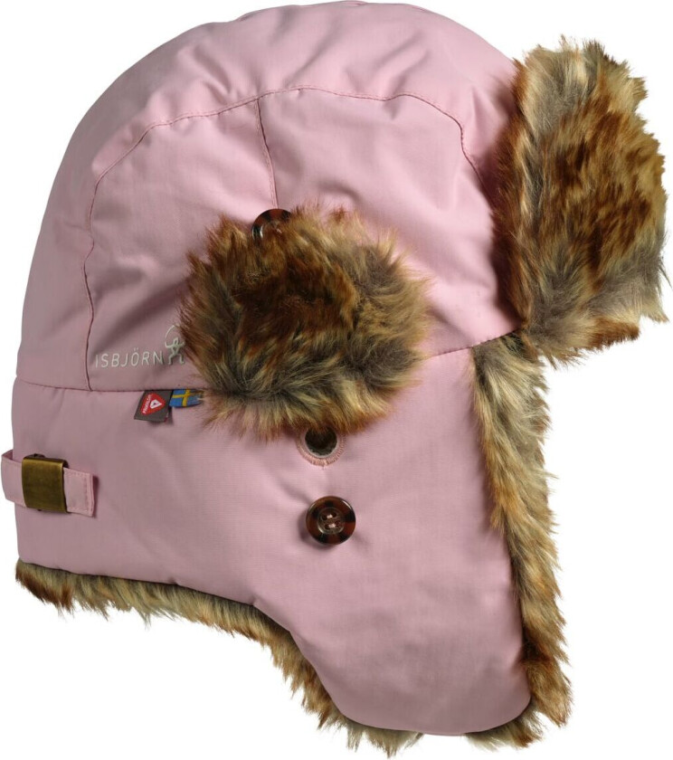 Squirrel Winter Cap